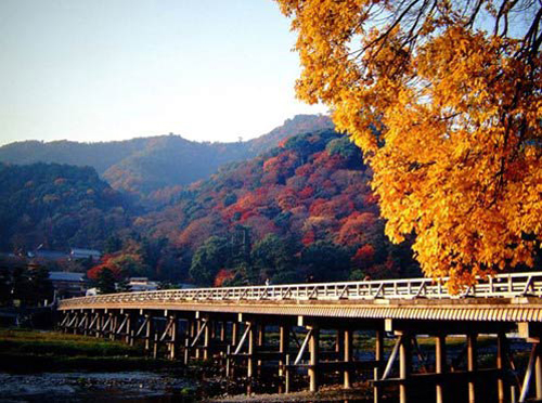 秋天的日本因枫叶而绚烂