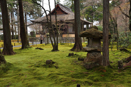 京都三千院“苔藓地藏佛”的微笑