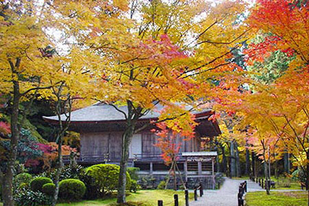 京都三千院“苔藓地藏佛”的微笑
