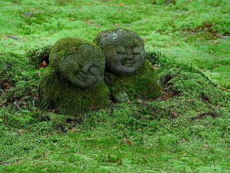 京都三千院“苔藓地藏佛”的微笑