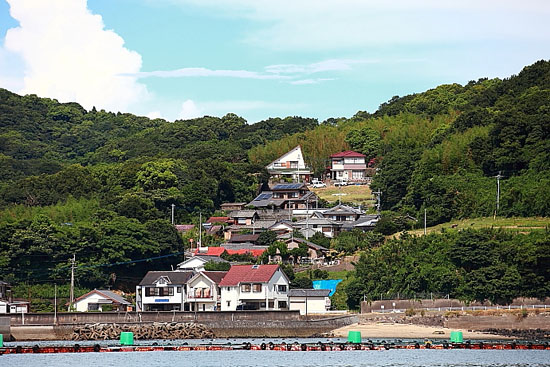 长崎口之津大海看海豚