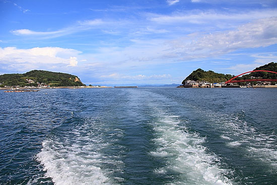 长崎口之津大海看海豚