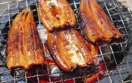 日本夏季的美味佳肴——鳗鱼