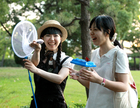 日本食用昆虫人气攀升