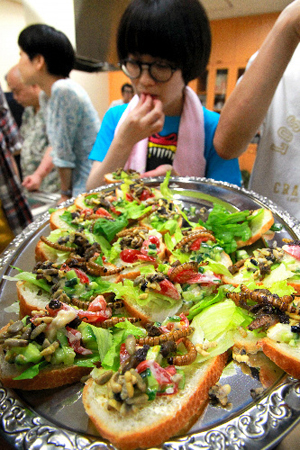 日本食用昆虫人气攀升