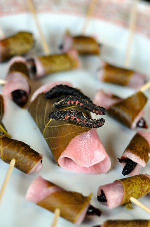 日本食用昆虫人气攀升