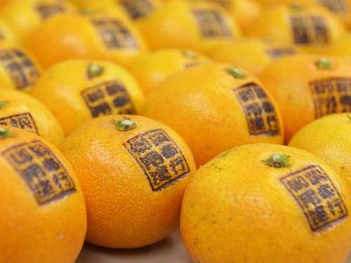 日本特色美食：周防大岛柑橘锅