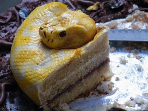 英国蛋糕师傅做出精妙蛇形蛋糕引日本热议