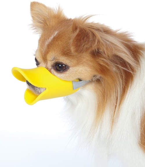 一秒钟变鸭子！狗狗头戴式口罩实用又可爱