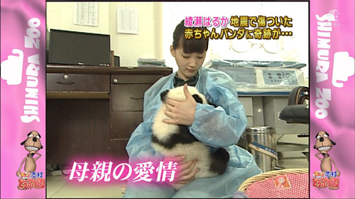 艺人荧屏好感调查 阿部宽和绫濑遥登榜首 日本通