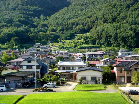 绿意盎然的日本郊野