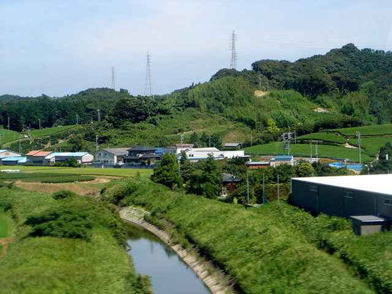 绿意盎然的日本郊野