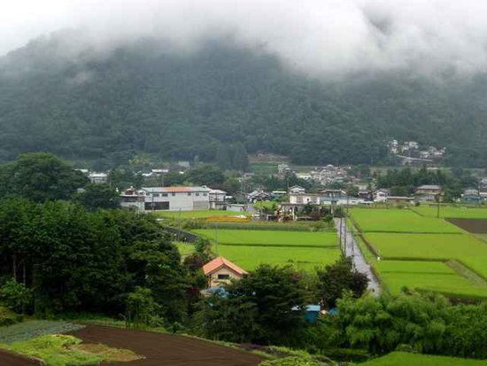 绿意盎然的日本郊野