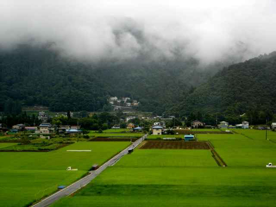 绿意盎然的日本郊野