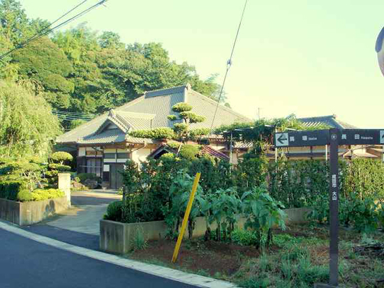 绿意盎然的日本郊野