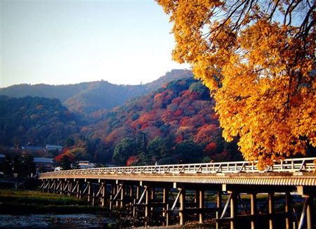 京都片片红叶下的秋天