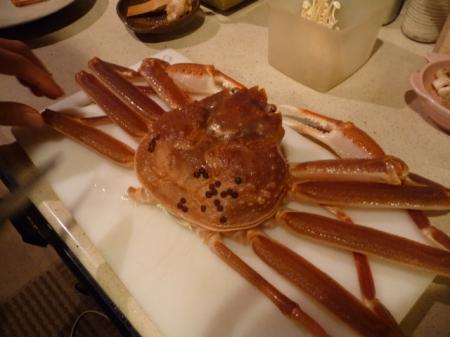 日本冬季味觉之王松叶蟹