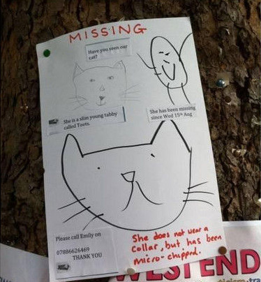 英国一张寻猫启示画技惊人寻找难度太高引话题