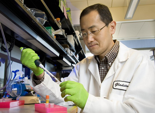 诺贝尔奖得主山中伸弥的成长之路