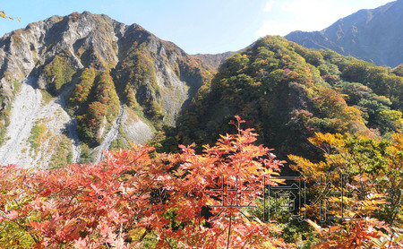 鸟取县国立公园大山迎来红叶观赏期