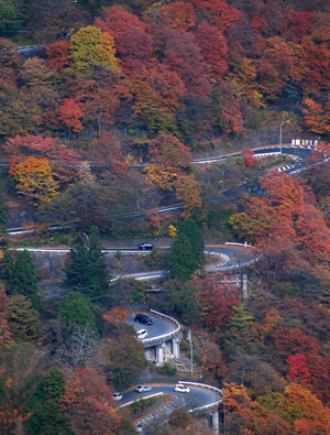 日本伊吕波坂路上的红叶美景