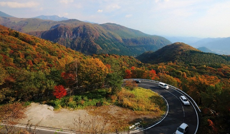 日本伊吕波坂路上的红叶美景