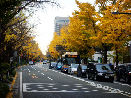 秋日的海港之城——横滨