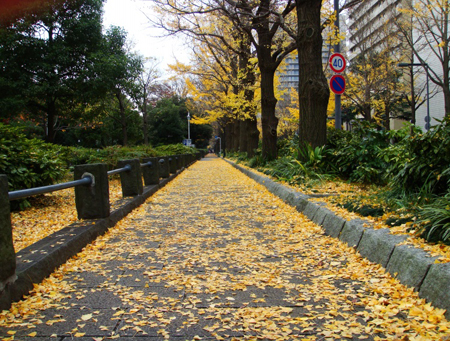 秋日的海港之城——横滨