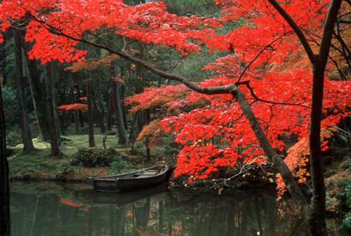 2012日本红叶之旅全攻略