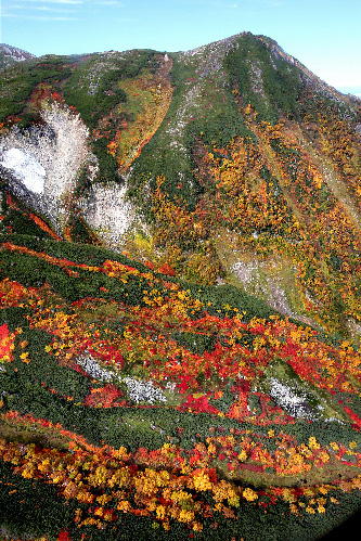 北海道大雪山脉红叶美景迎来观赏时节