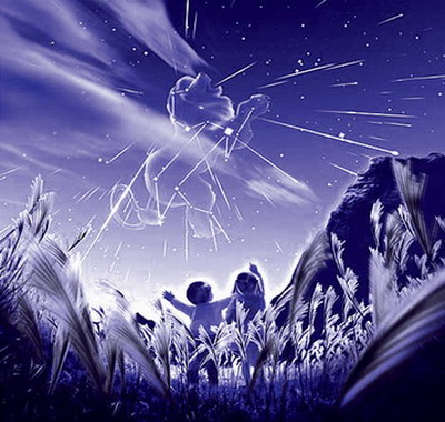 11月17日狮子座流星雨点亮夜空