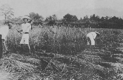 11月14日 日本历史上的今天