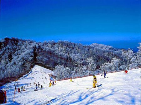 冬季日本滑雪场攻略