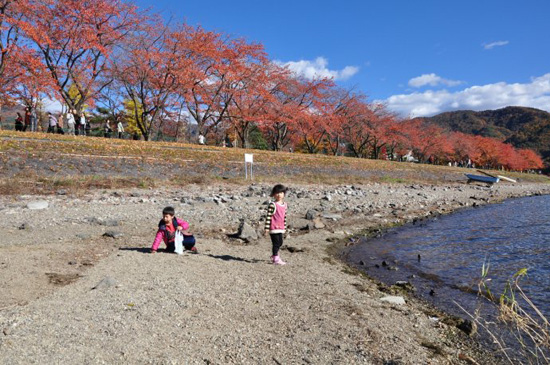 东京河口湖的艳丽秋天
