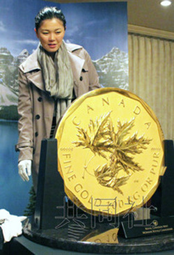 札幌市展出100千克重巨型金币