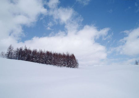 冬季北海道 浪漫雪景