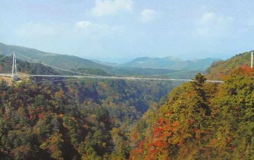 日本红叶观赏地“九重梦大吊桥” 因山体滑坡景观受损