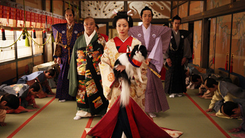 电影《大奥~永远》即将上映 堺雅人被曝是草食男