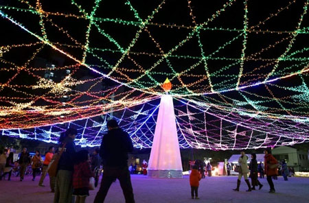 山口县举办“冬季树”节 彩灯映照夜空增节日气氛