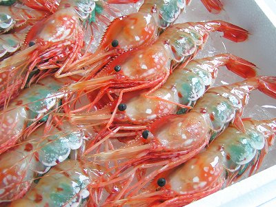 三菱商事在泰国展开虾养殖业务