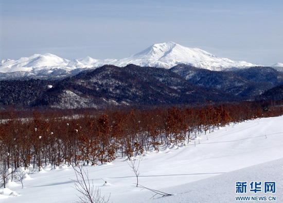 分外妖之北海道的冬天