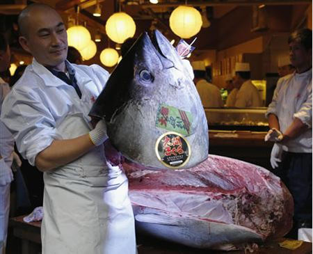 日本金枪鱼卖出1.5亿日元 天价只为引话题？