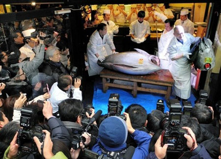 日本金枪鱼卖出1.5亿日元 天价只为引话题？