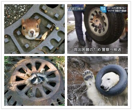 日本近期“笑完我就去睡觉”搞笑图片