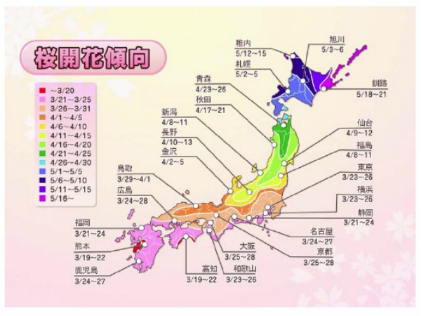 2013年日本各地樱花开放最新预测出炉