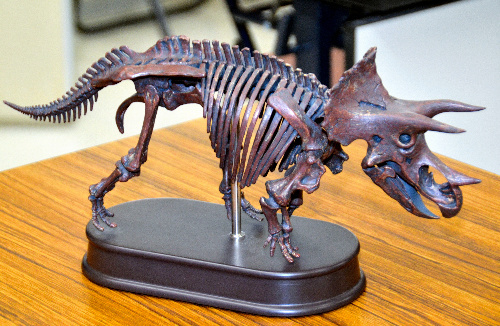 鹿儿岛发现角龙类恐龙化石 属日本国内首例