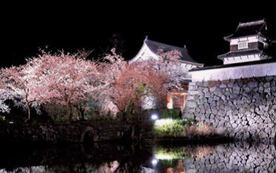 春天樱花飞舞 浪漫福冈旅游攻略