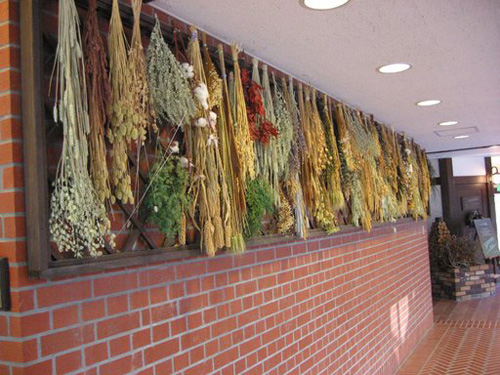 神户布引香草园