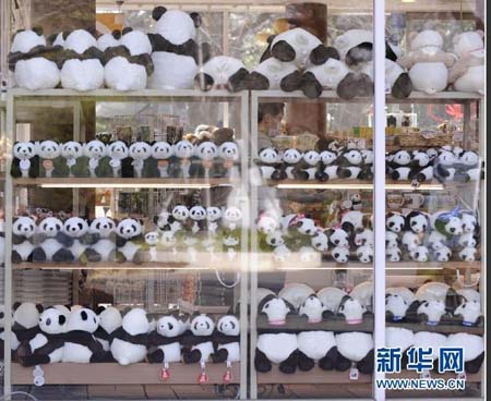 东京上野动物园熊猫馆即将重新开放