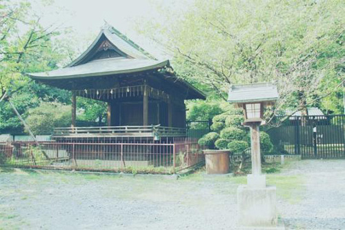寻访东京那些静谧神社